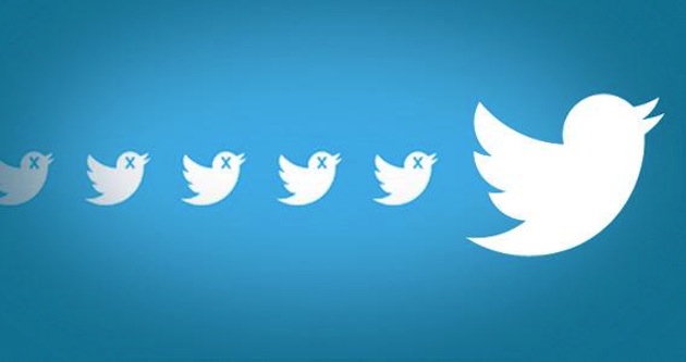 twitter followers